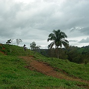 Picture 083